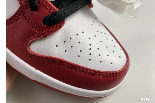 Nike Chicago Low SB J-Pack BQ6817-600 Dunk 0820